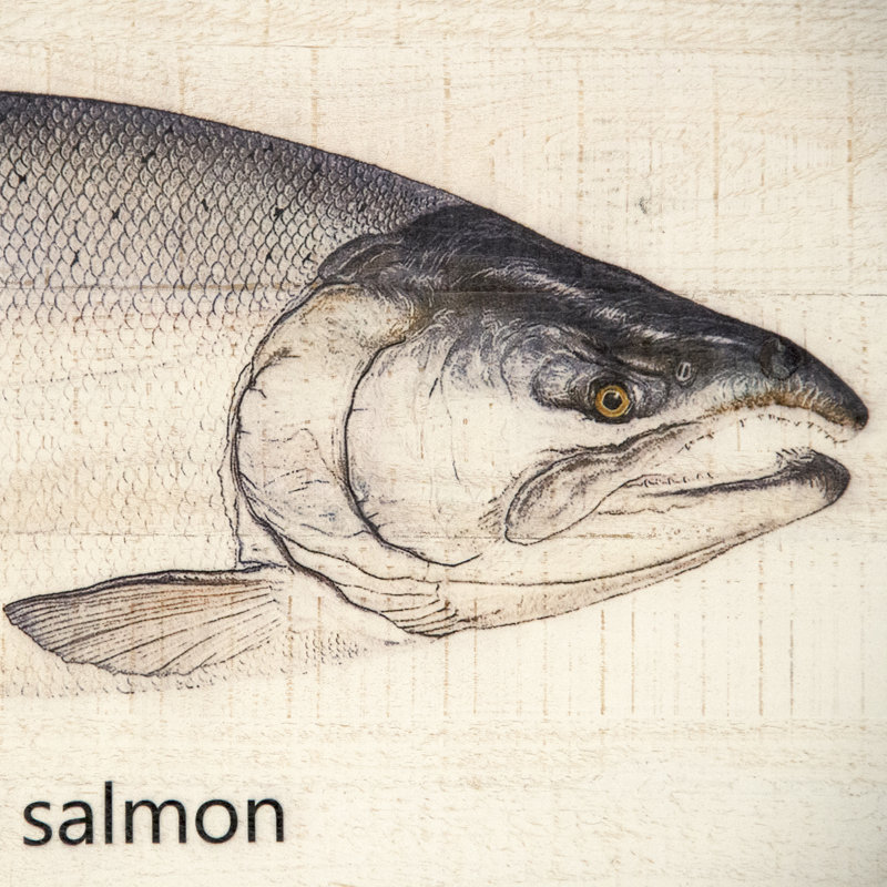 Silver Salmon Print, 31.5" H x 47.5" W x 1.5" D