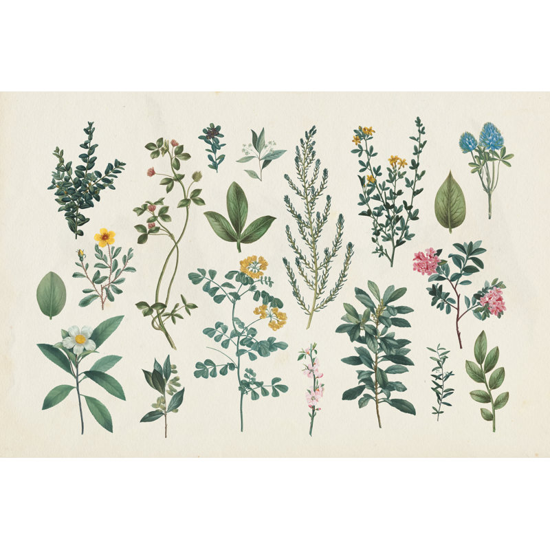 Victorian Garden III 1 Piece Painting on Canvas, 20cm H x 30cm W