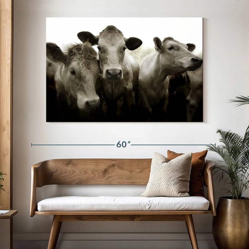 Brampt Three White Cows, 34" H x 51" W