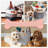Naples Pet Toy Fabric Basket-1001765944