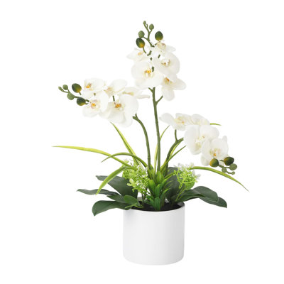 Real Touch Phalaenopsis Orchid in Pot, Artificial Fake Flowers