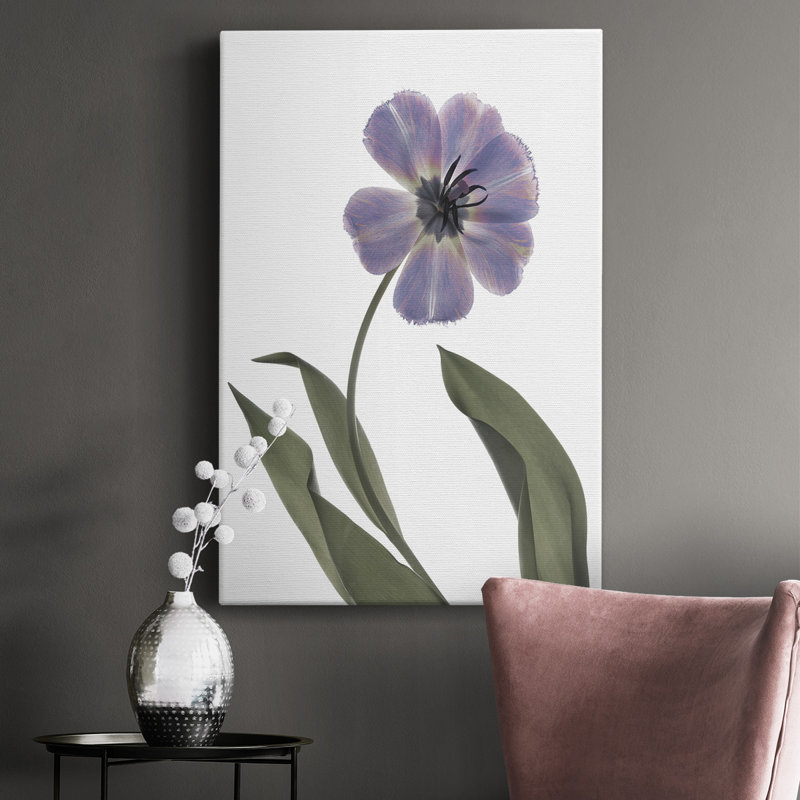 «Xray Tulip X», impression sur toile tendue, H 18 po x l 12 po x P 1 po