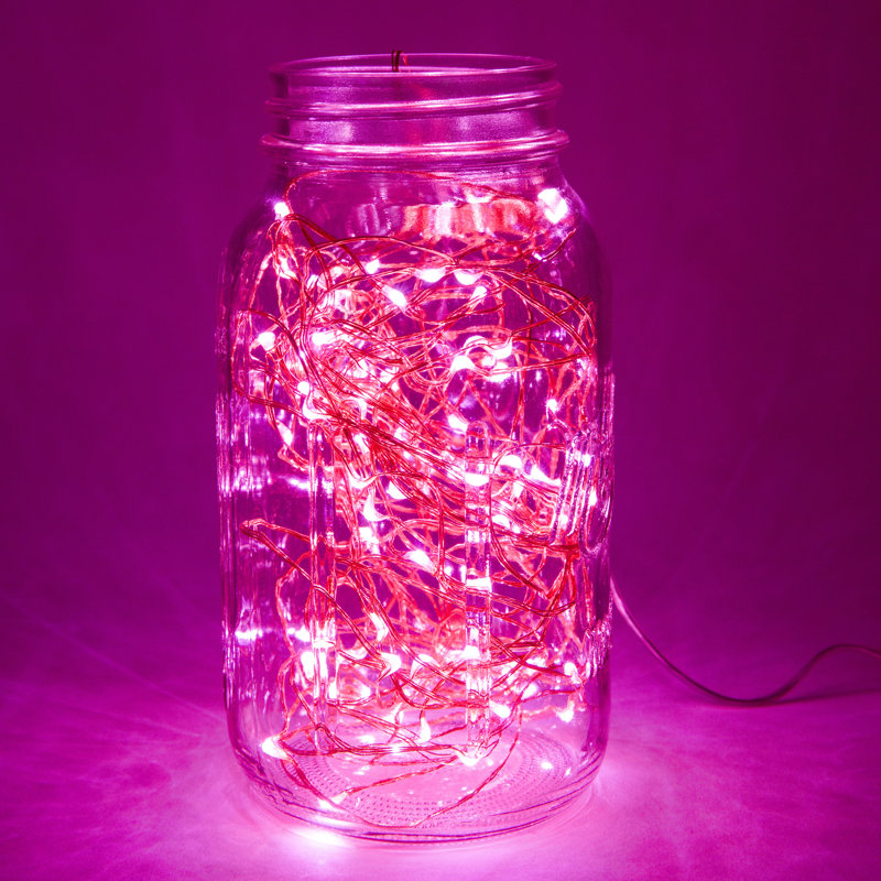 Guirlande de 50 lumières Stoller, Rose