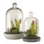 Sydnee 18cm Succulent in Cement Terrarium