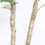Olive artificielle avec pot-1267324232