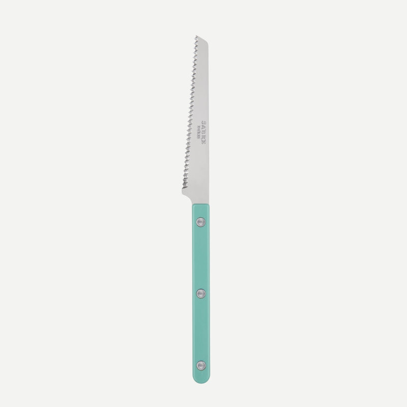 Bistrot Solid 4'' L Tomato Knife, Pastel Green