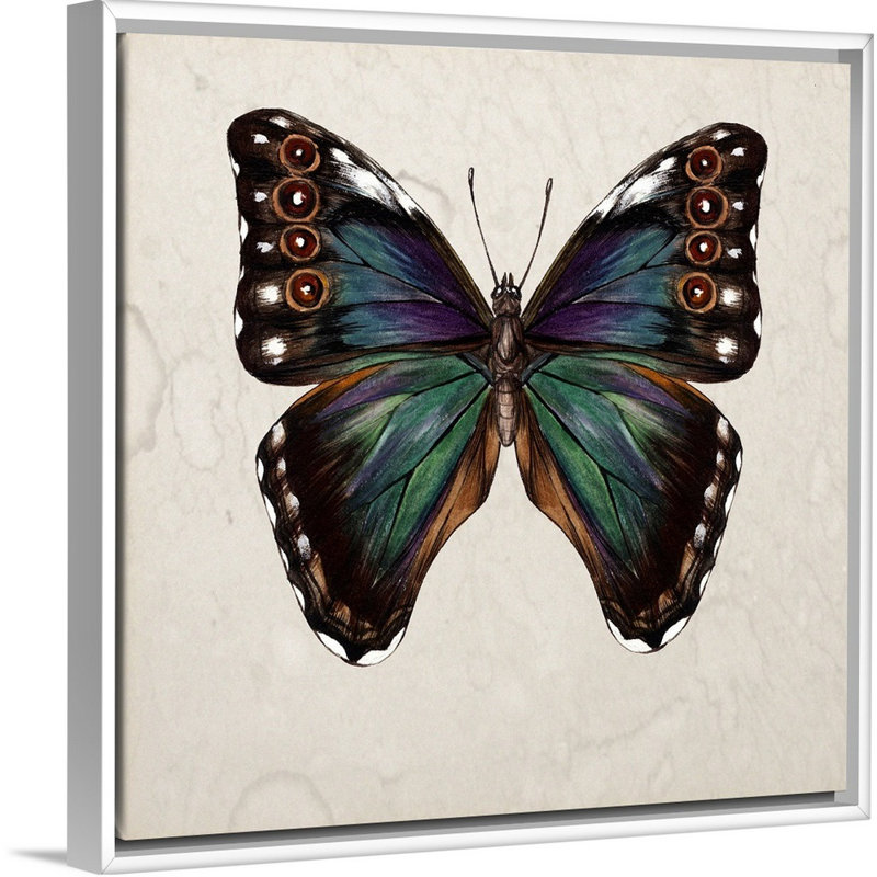 «Butterfly Study III» par Wang Melissa - reproduction d'art sur toile, H 14 po x l 14 po x P 2 po, Toile blanche encadrée