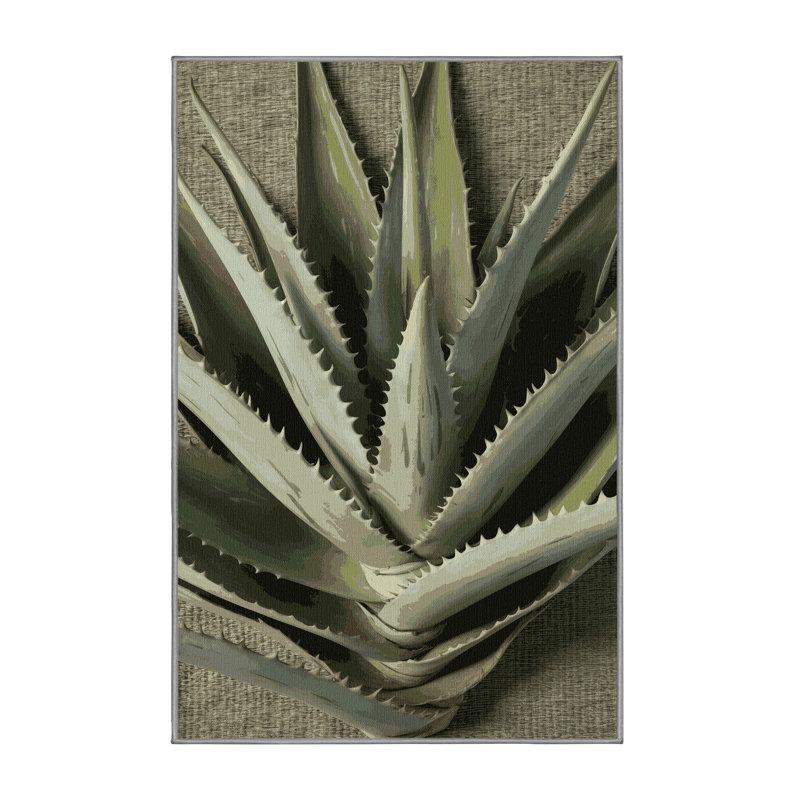 Machine Washable Botanical Brown Area Rug, Rectangle 2' x 3'