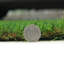Fleur De Lis Living Artificial Grass