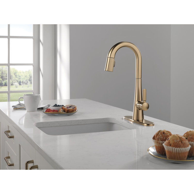 Monrovia Bar Faucet with Pull Down Sprayer, Champagne Bronze