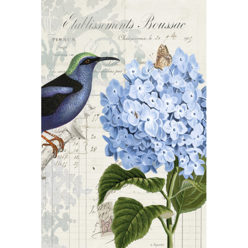 Vintage Aviary I 1 Piece Wrapped Canvas Wall Art, 30cm H x 20cm W x 3.8cm D