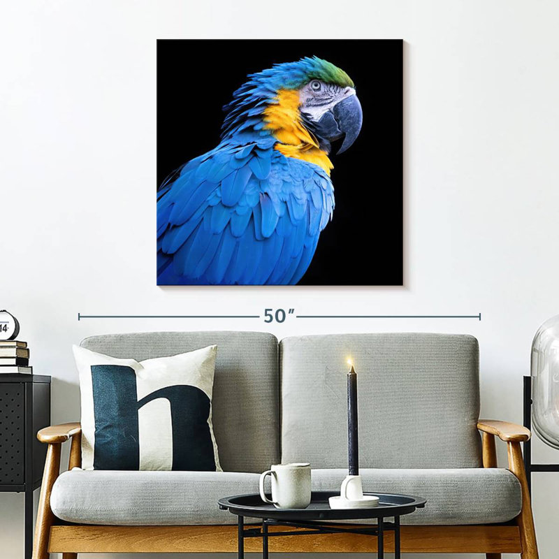 Brampt Neotropical Blue Macaw, 30" H x 30" W