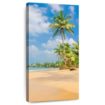 Exotic Summer Palm Trees