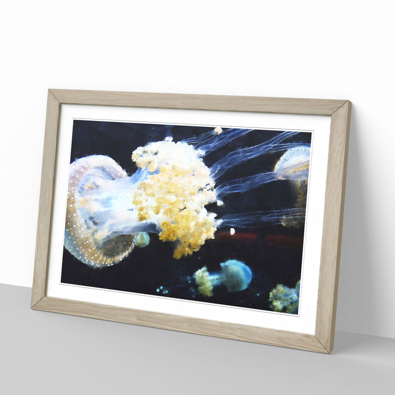 Jellyfish Vol.3 - Picture Frame Painting, 36cm H x 48cm W x 2cm D, Oak