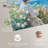 Gentle Sea-99522917-99522927