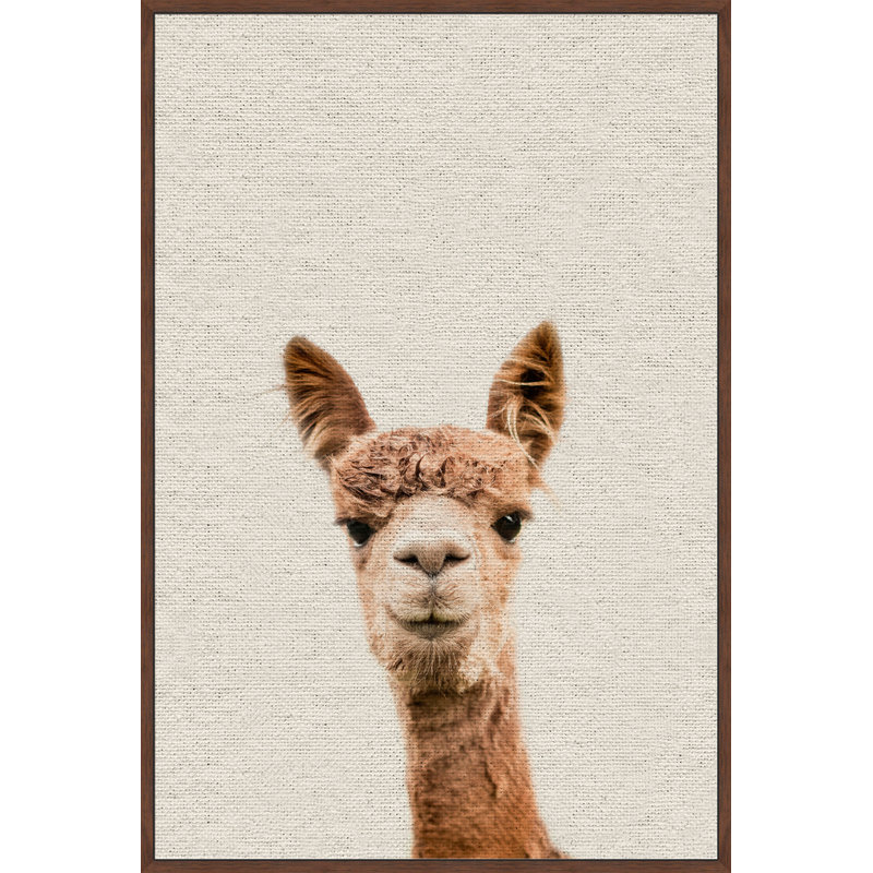 Llama Face VI - Floater Frame Print on Canvas, 46 cm H x 30 cm W x 4 cm D