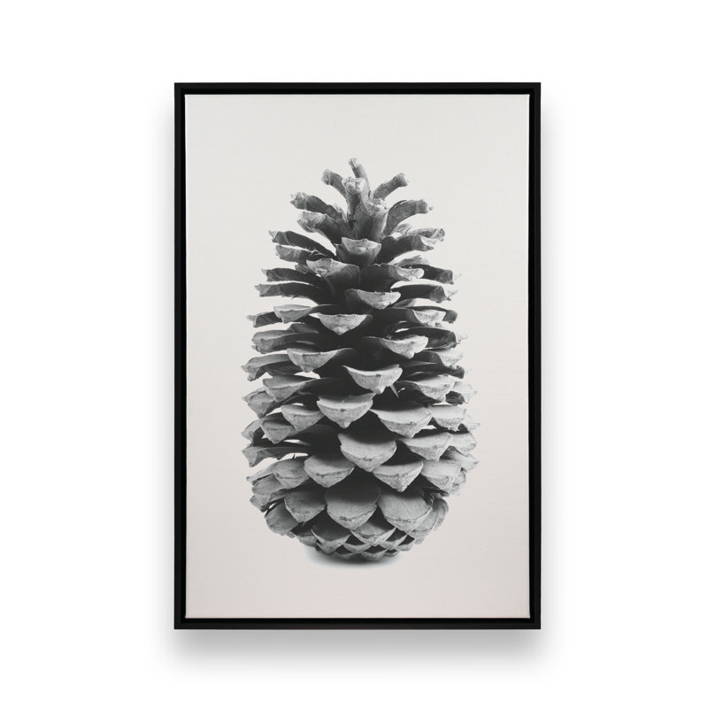 Portrait of a Pinecone kmc1001, H 20 po x l 14 po, Cadre flottant noir satiné