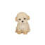 Labradoodle Decorative Puppy Figurine for Home & Garden Décor, Handpainted Polyresin Dog Statue, Realistic Design | Gift for Dog Lovers | Weather-Resistant Indoor/Outdoor Decor