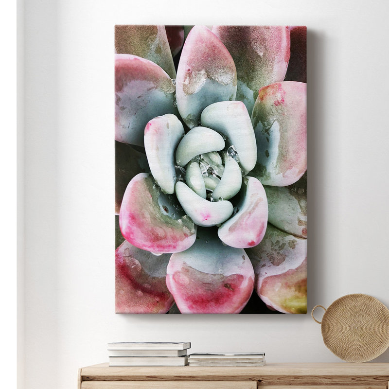 " Pastel Succulent Beauty V ", 48" H x 32" W x 1.5" D