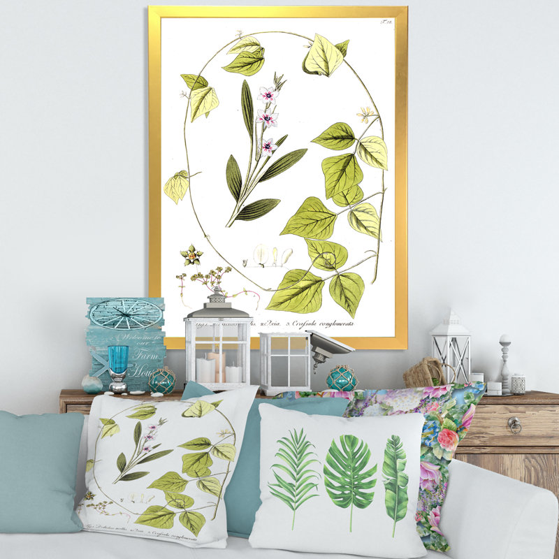 Vintage Botanicals XXI - Peinture sur toile, H 32 po x l 16 po x P 1 po, Cadre doré