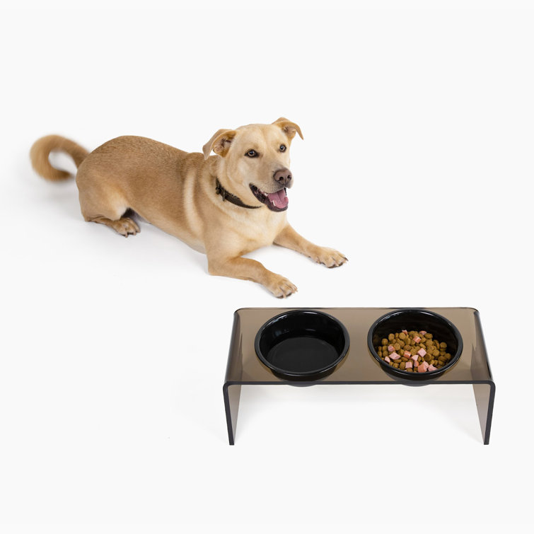 Acrylic Elevated Pet Stand for Cat and Dog with Bowls, Raised Food