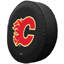 Enjoliveurs NHL-9230161-6119134-6119120