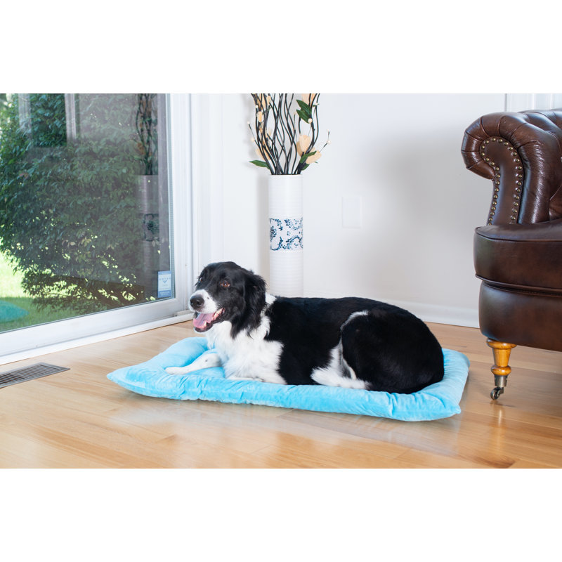Large Sky Blue Velvet Pet Bed Mat with Padded Border