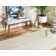 Swarthout Hand Braided Indoor Rug