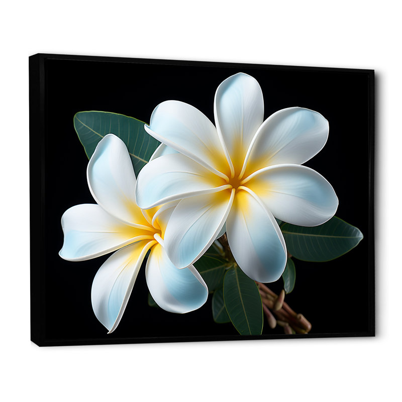 Plumeria charmante élégance I - impressions sur toile Plumeria, H 12 po x l 20 po x P 1 po, Cadre flottant noir