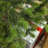 9Ft Artificial Sparse Christmas Tree-787334022-787334019