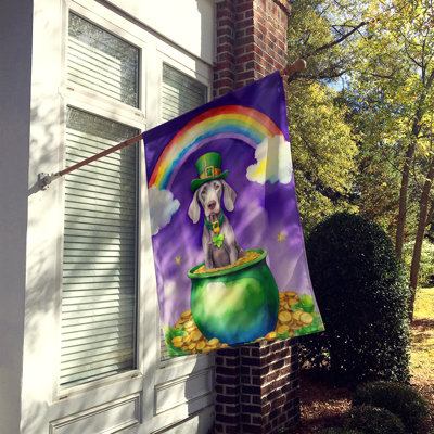 Drapeau double face en polyester H 40 po x l 28 po St Patrick's Day House
