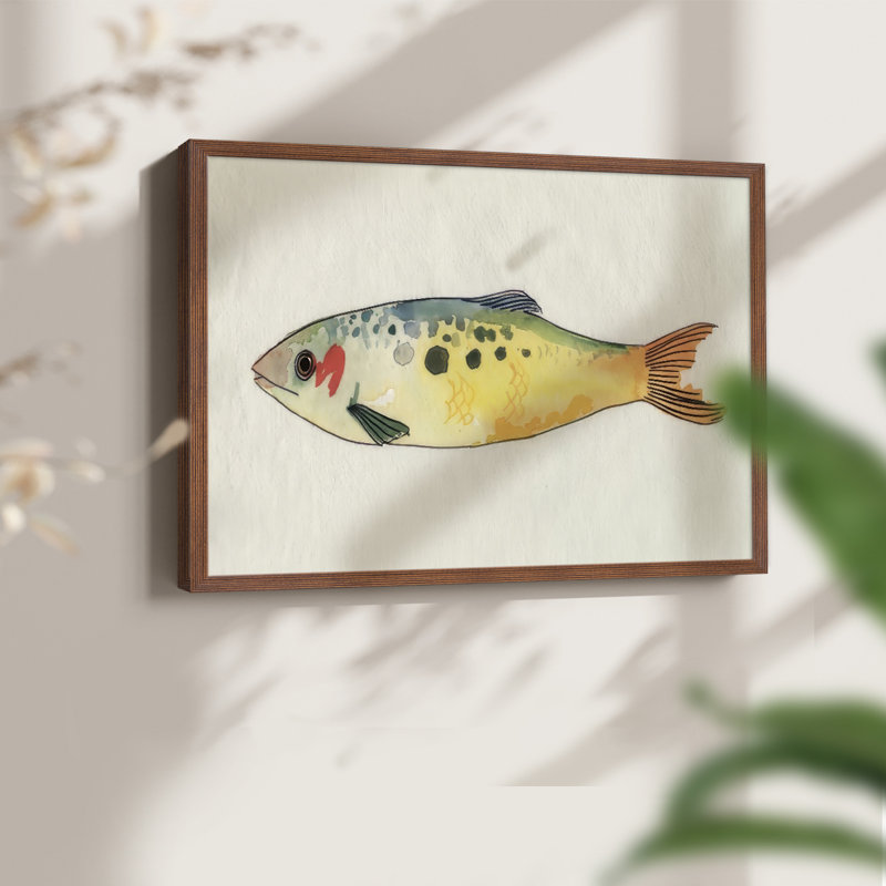Fanciful Fish I -Framed Print - Restickable, Walnut, 22" H x 28" W