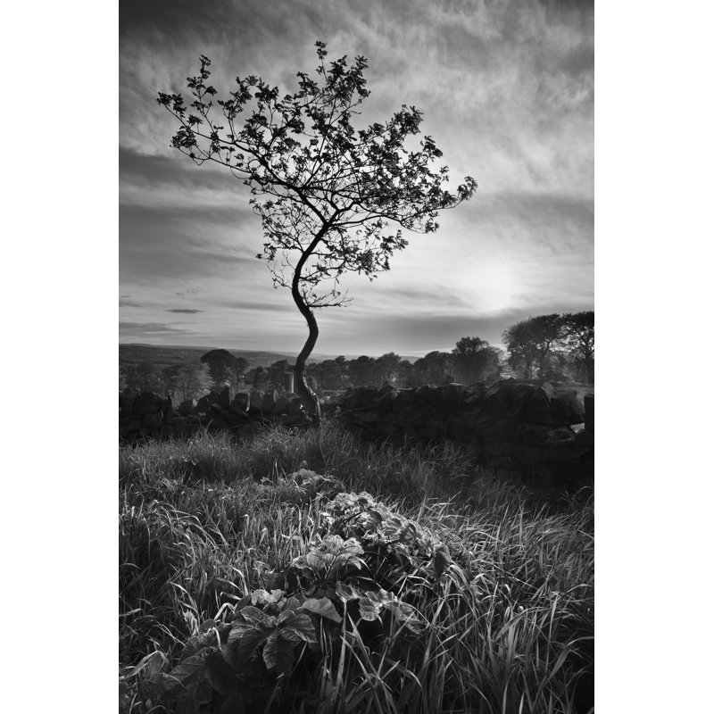 Curves by Martin Henson - Wrapped Canvas Print, 46cm H x 30cm W x 3.8cm D