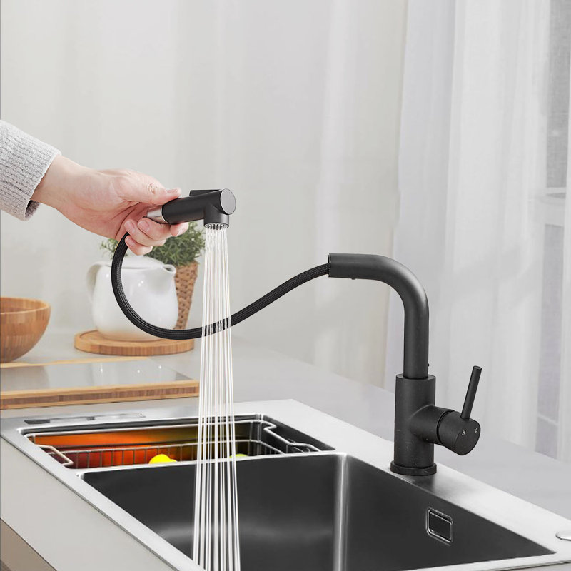 Robinet de cuisine à poignée simple en acier inoxydable, Noir mat