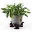 Ilya Weather Resistant Planter Feet
