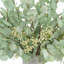 Eucalyptus Arranged in Stone Vase
