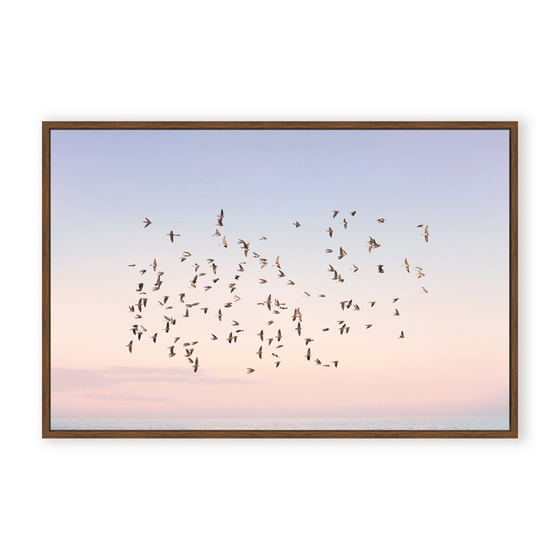 Nature Inspired Sunset Flight by  - Picture Frame Photograph on Paper, Framed Canvas, Brown, 32" H x 48" W x 2.375" D