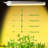 JESLED 40 Watt Grow Light Fruits / Vegetables
