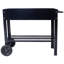 Produits Jardin surélevé mobile surélevé et ergonomique pour jardin, terrasse avec roues, tablette inférieure, noir