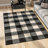 Schoffer Synthetic Gingham Indoor Rug-1712025467