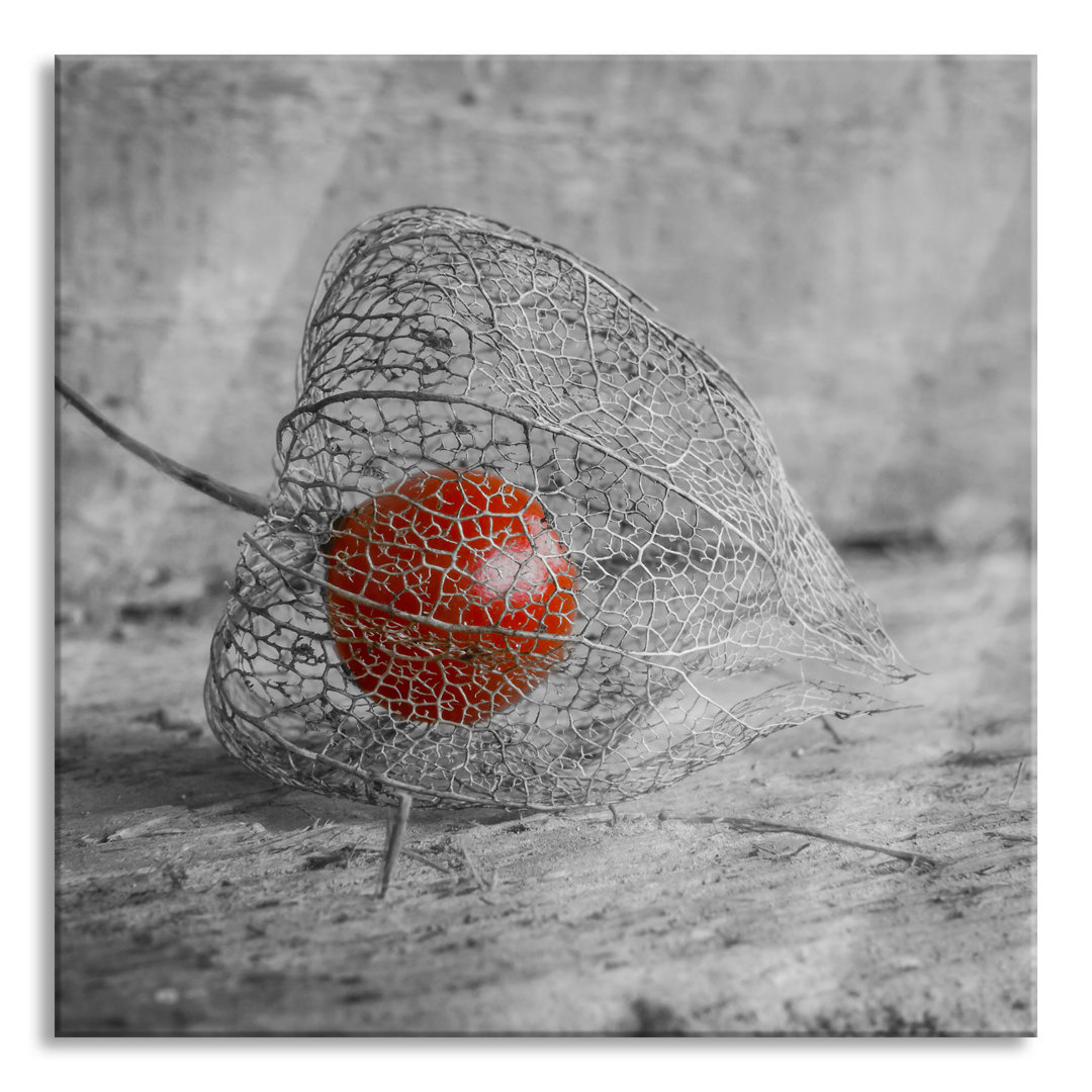 Glasbild Leckere Physalis in einer Schale