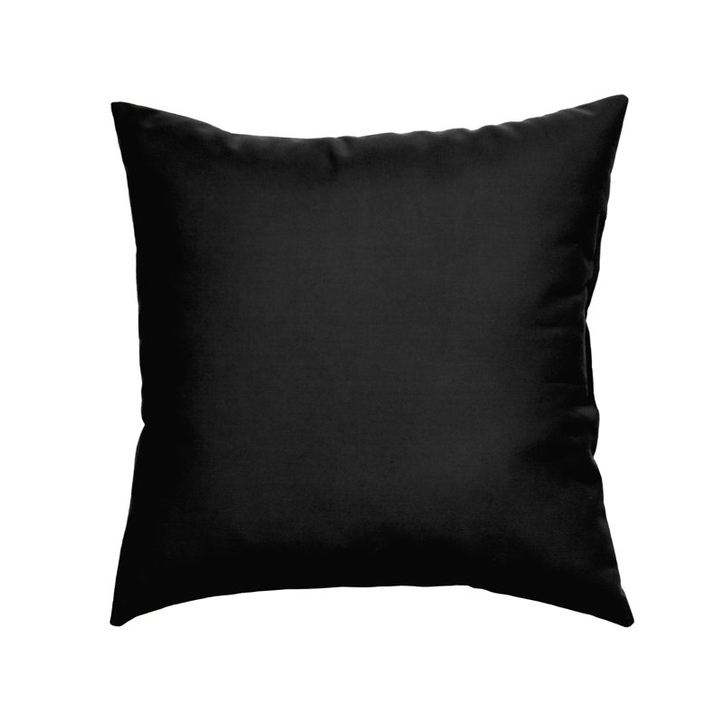 20" Sunbrella Throw Pillow, Canvas Black, 20" x 20"