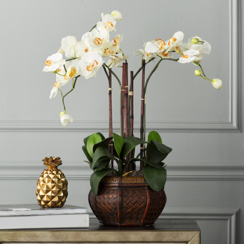 Arrangement floral d'orchidées dans un vase