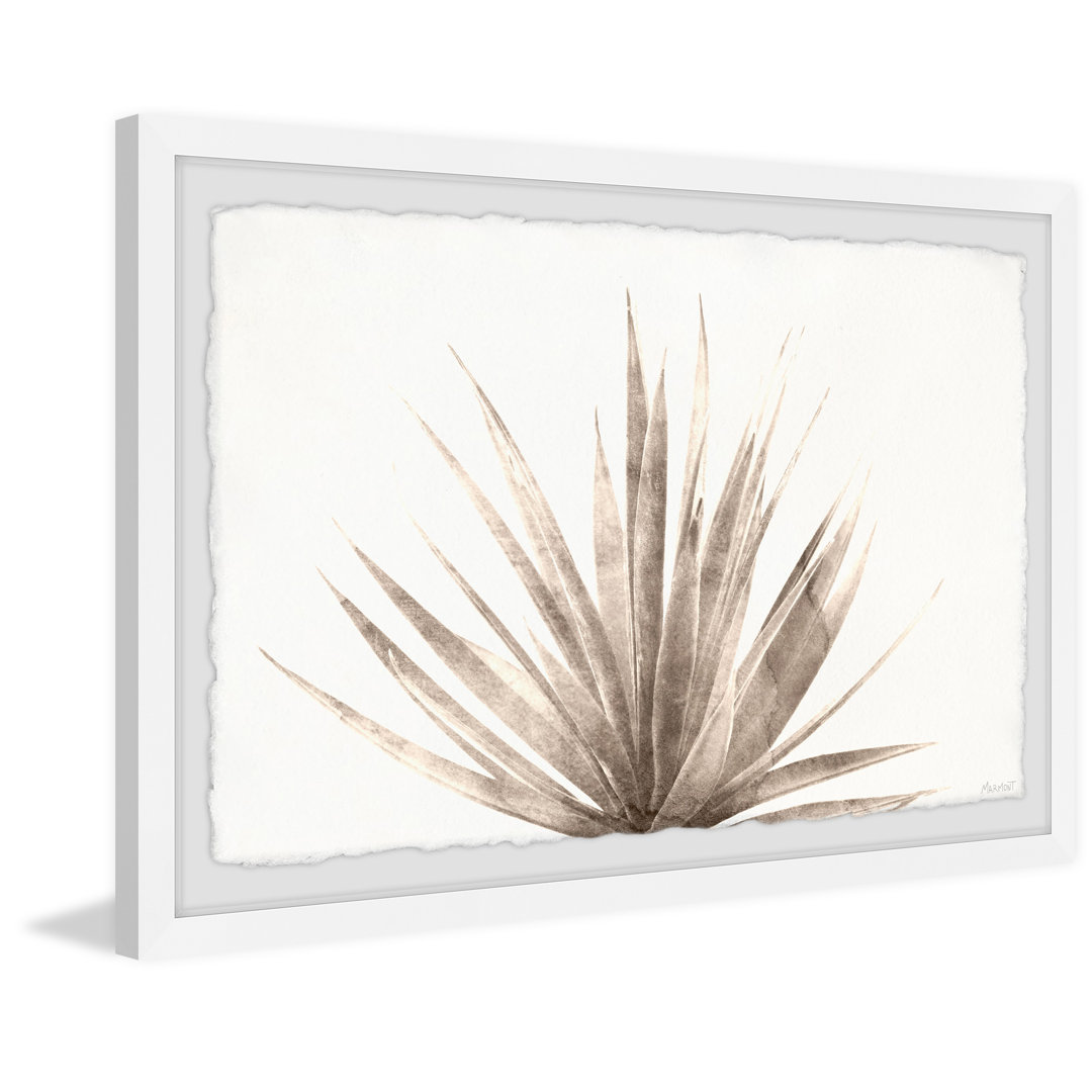 Leaves Spread Out - Picture Frame Photograph