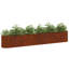 Raised Garden Bed-288469067-288469070