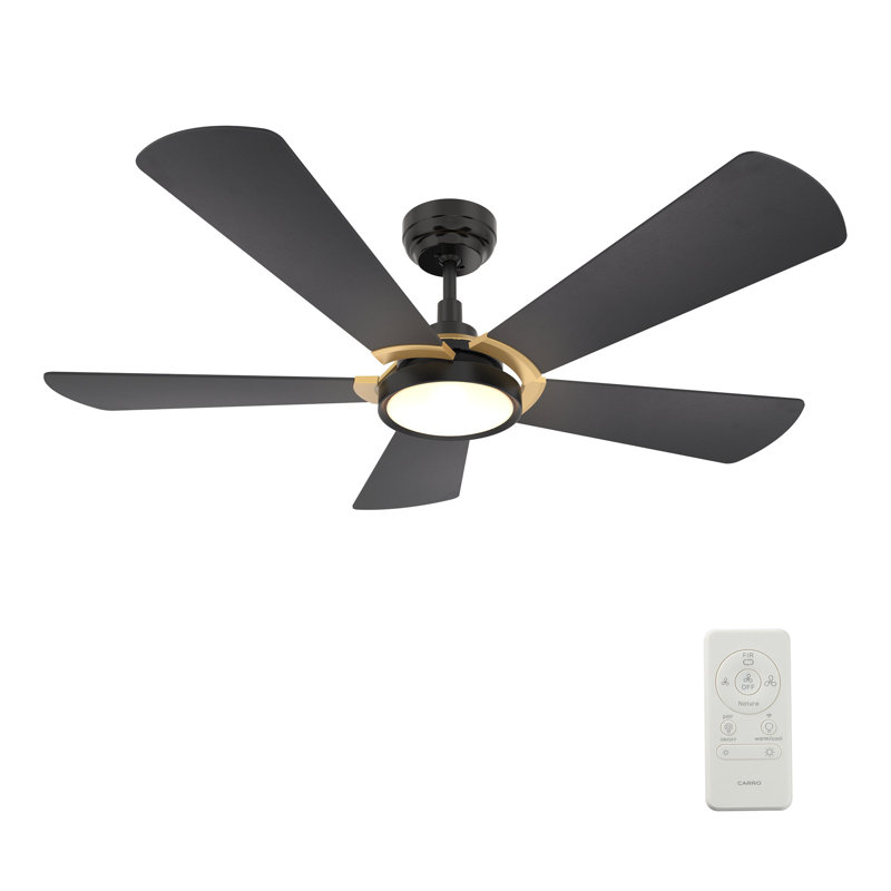 Winston Smart Ceiling Fan with Remote, Light Kit Included, Works with Google Assistant, Amazon Alexa, and Siri Shortcuts.