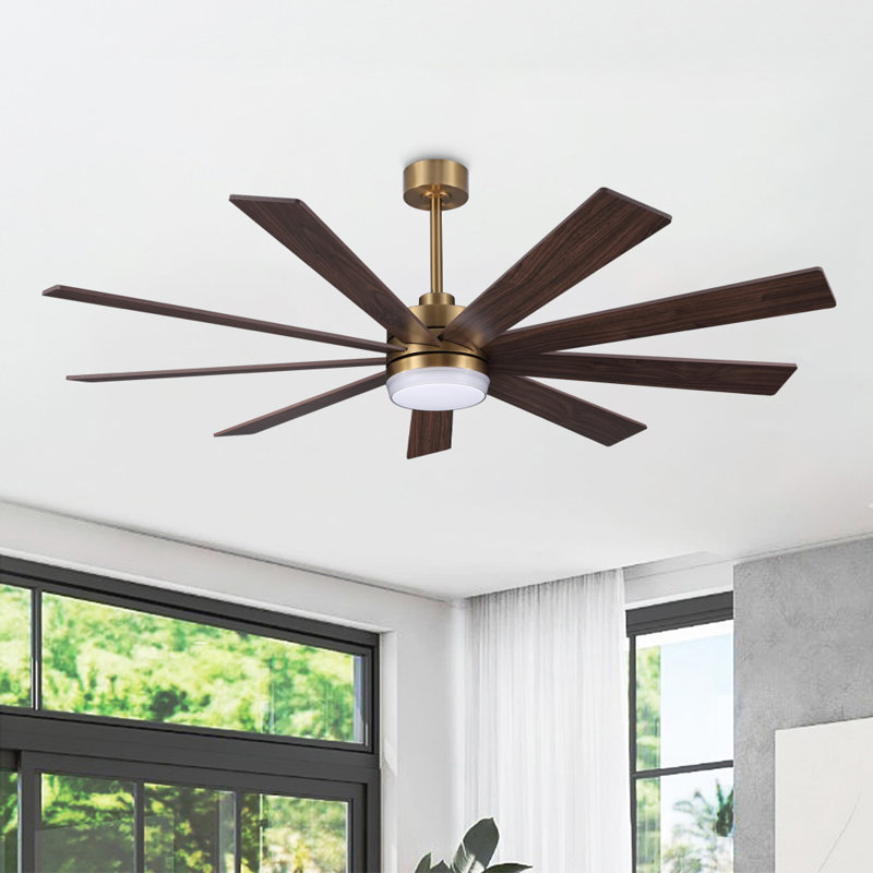 Ventilateur de plafond standard à 65 pales 65 pouces avec télécommande et ensemble d'éclairage inclus Babrak