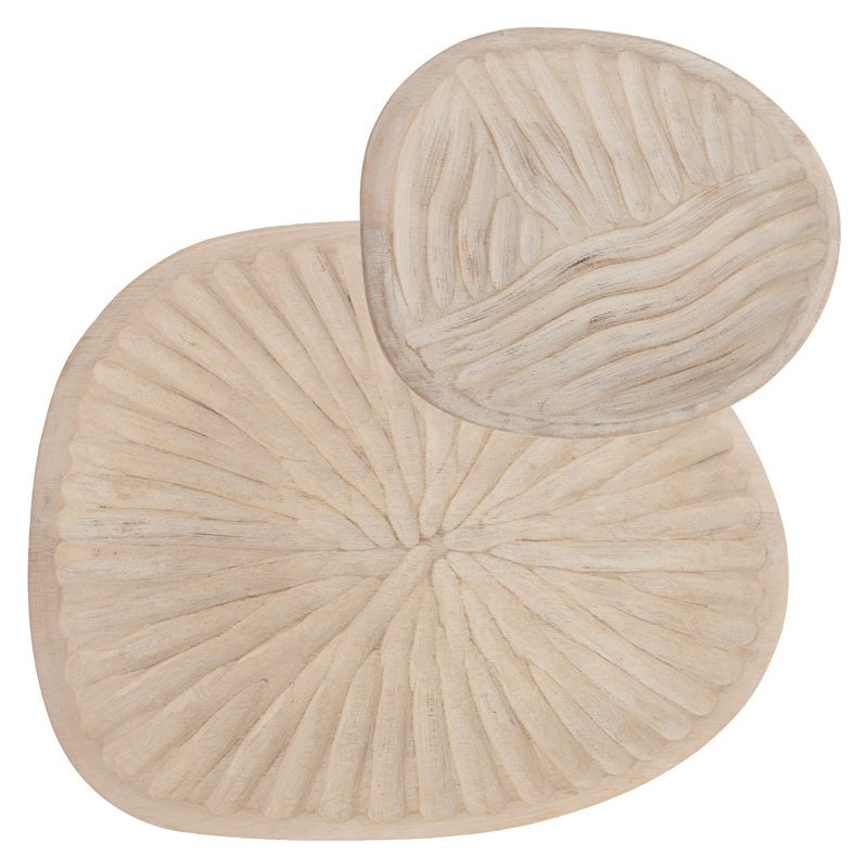 Plateaux de lavage blancs
