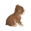 Polyresin Garden Statue-1677648703