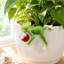 Figurine de jardin en résine 3,94 po